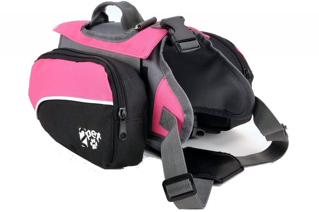 dog trail backpack