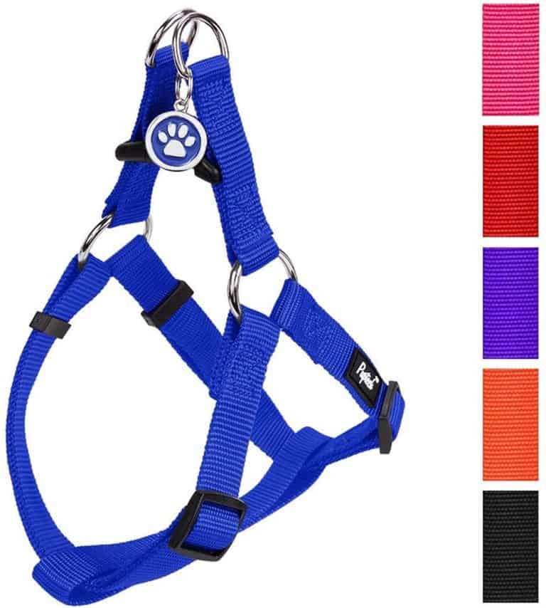 dog hiking harness