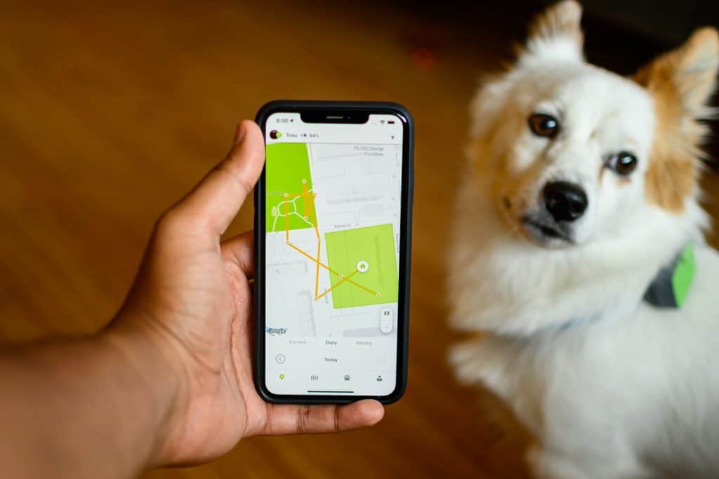 Best Dog GPS Trackers