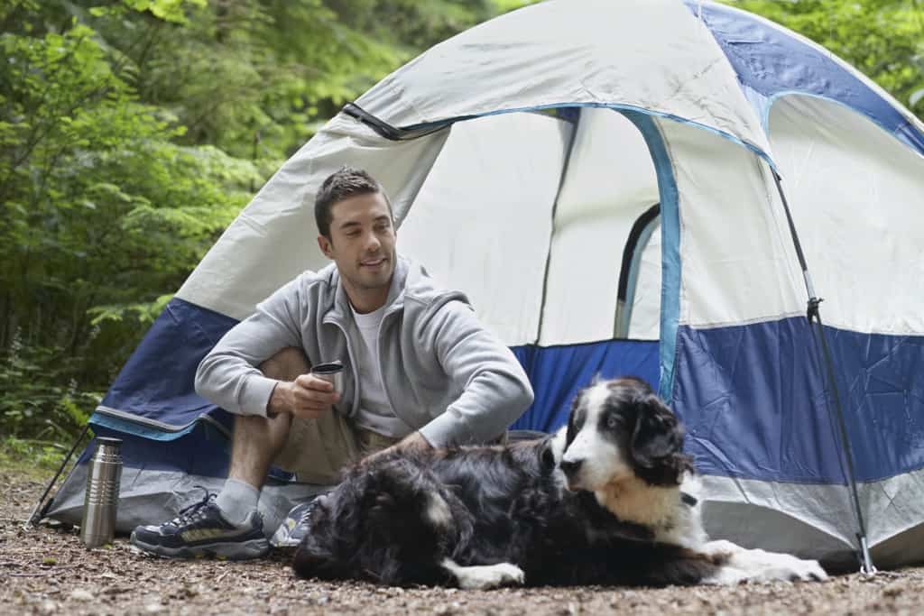 Camping with Dog