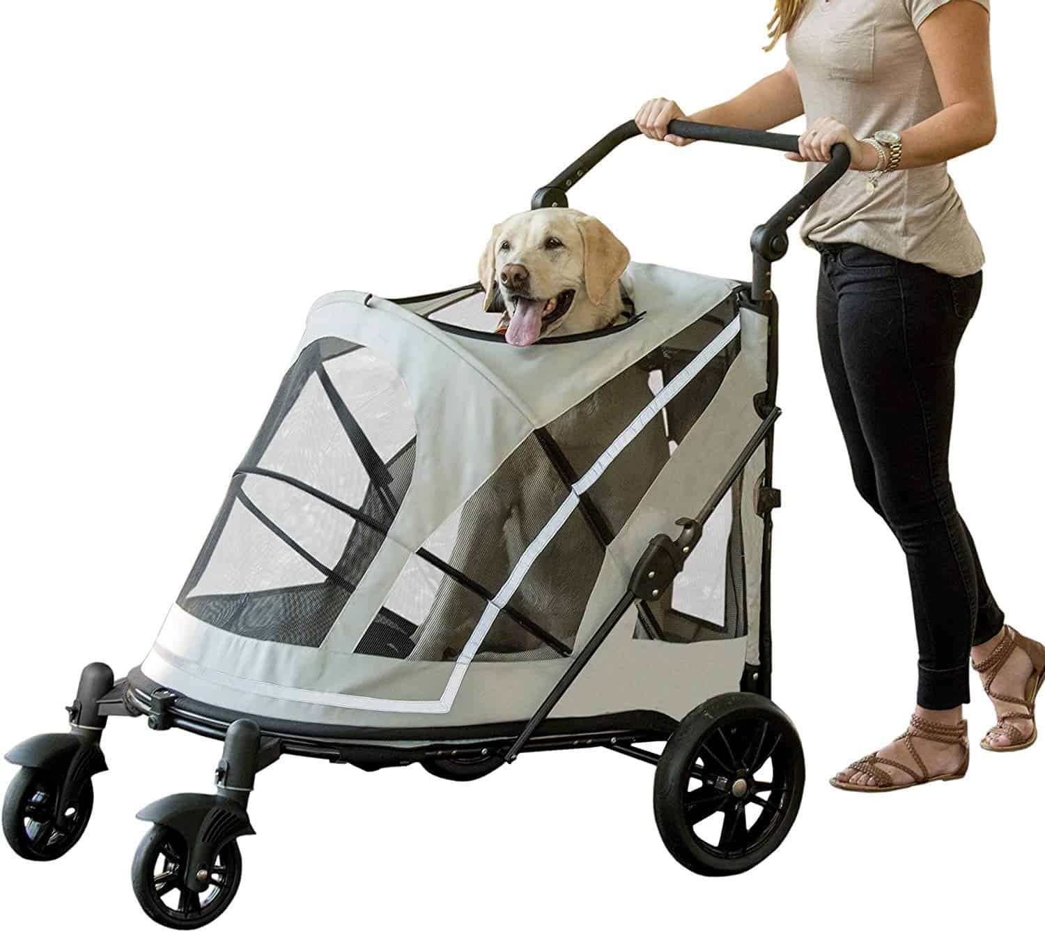 7 Best Dog Strollers (2023 Reviews)