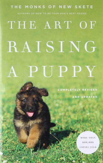 The Art of Raising a Puppy