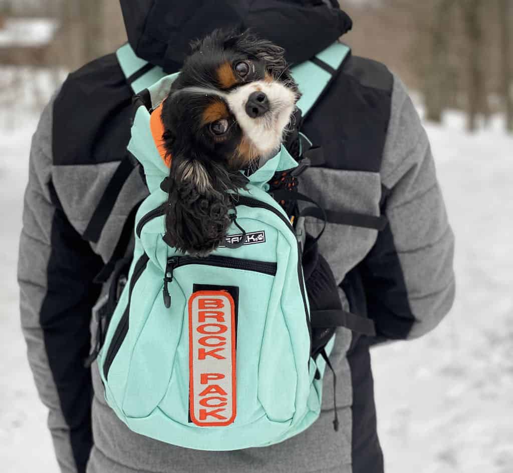 PROPLUMS Dog Carrier Backpack for Small and Medium Dogs Multifunction Pet Sport Sack Air for Walking Hiking and Traveling with Detachable Storage Bag Free Booster Block and Collapsible Dog Bowls