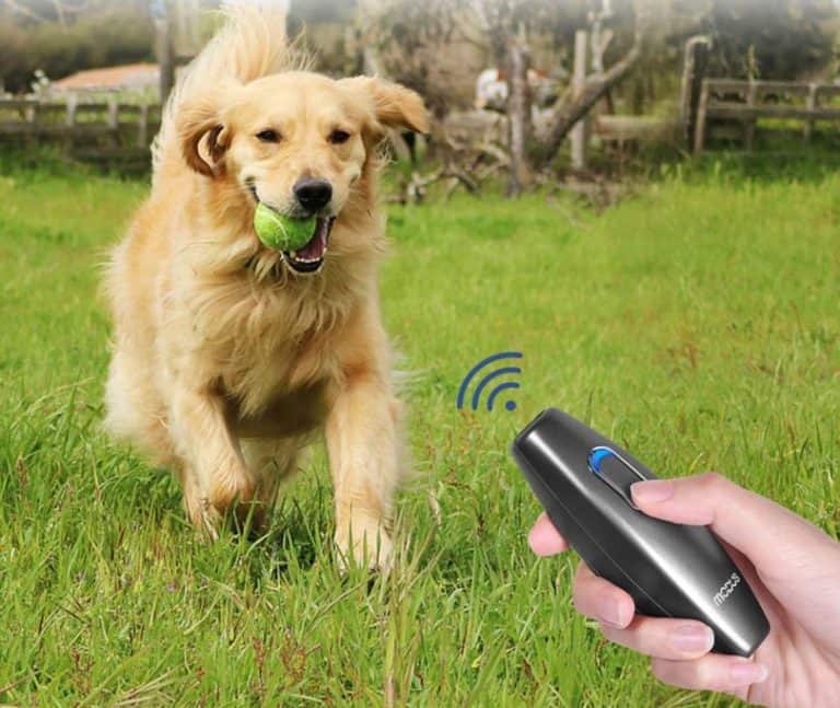 Dog Ultrasonic Bark Control Device