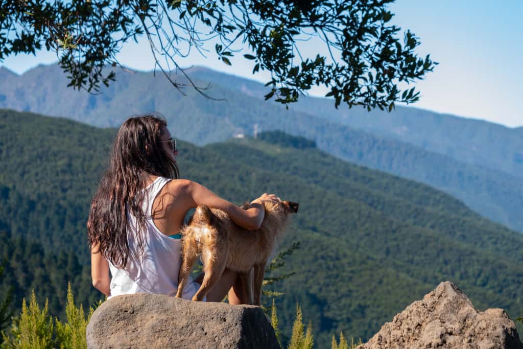 9 Best Small Dogs For Hiking   Best Small Hiking Dogs 