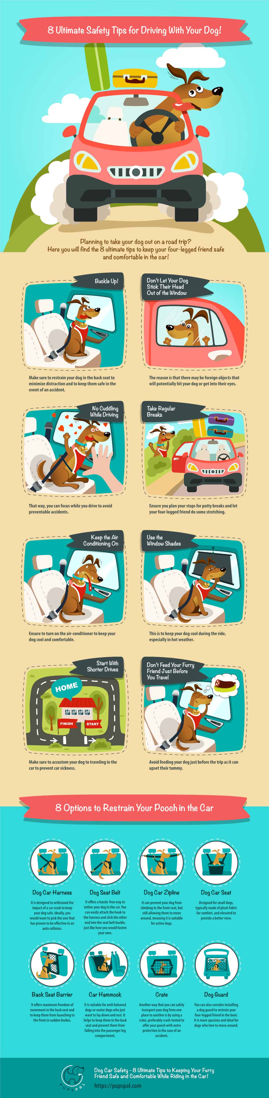 Dog Car Safety