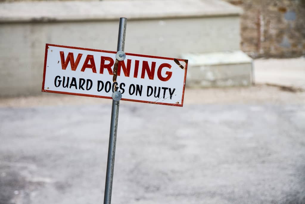 10 Best Guard Dog Breeds