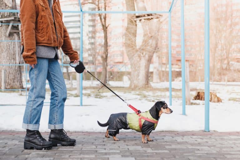 Dog Walking with Retractable Leash