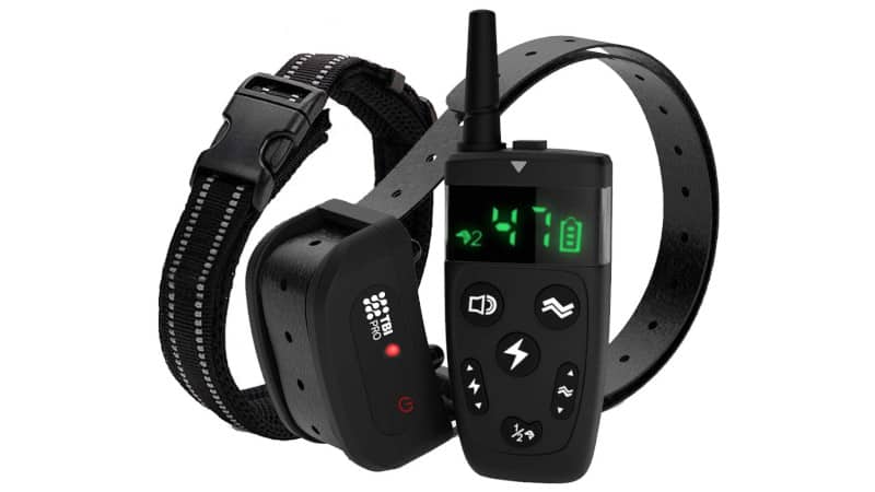 TBI Pro Dog Training Collar with Remote
