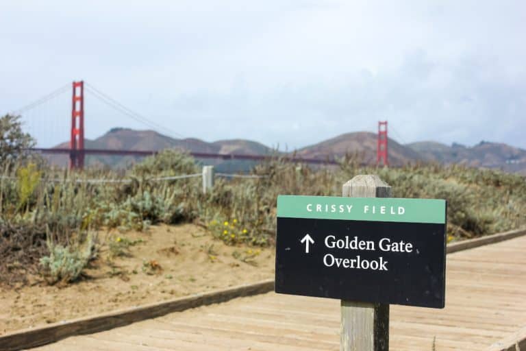 Dog Friendly Trail in the Bay Area