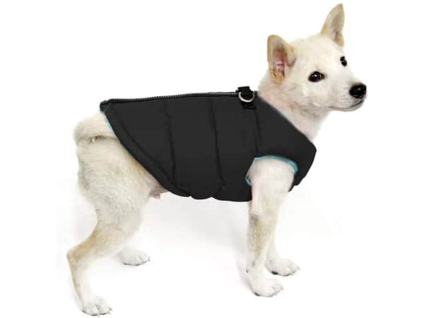Gooby Padded Dog Vest