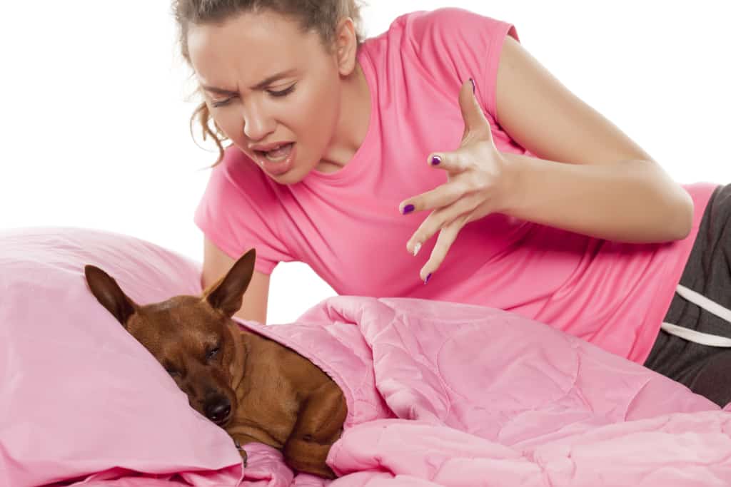 A Frustrated Woman is Shouting at Her Dog