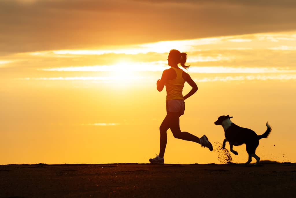 Dogs for Running