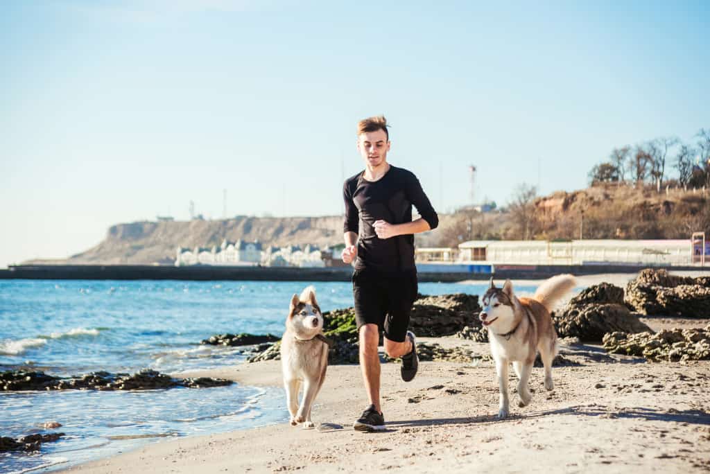 Run with Two Dogs