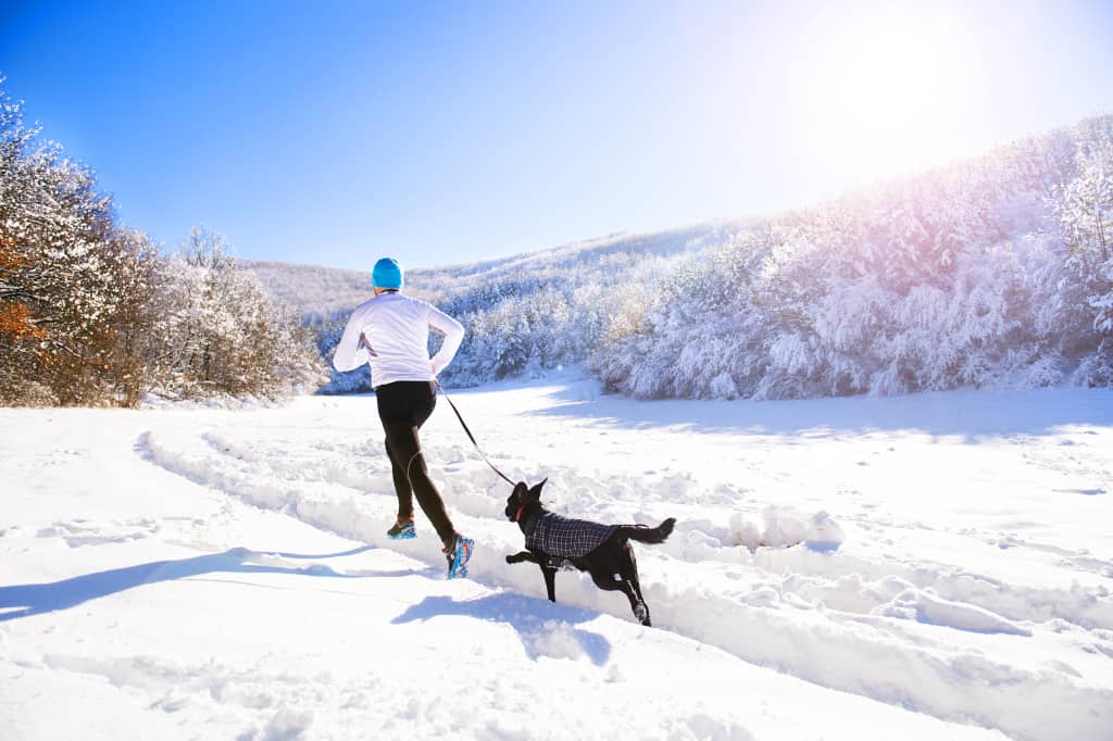 Winter Running with Dog
