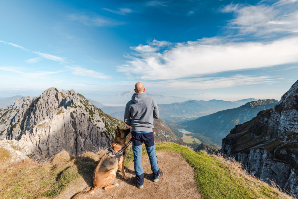Dog Breeds for Hiking Protection