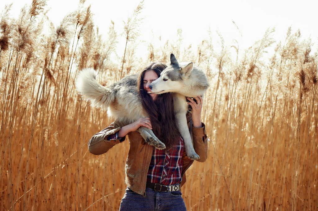 A Husky on a Woman's Shoulders