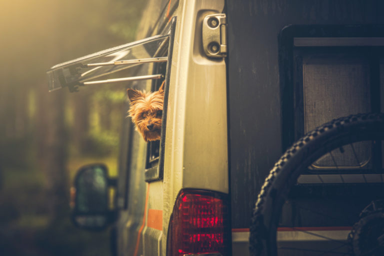 Leaving-Dogs-Unattended-in-RV