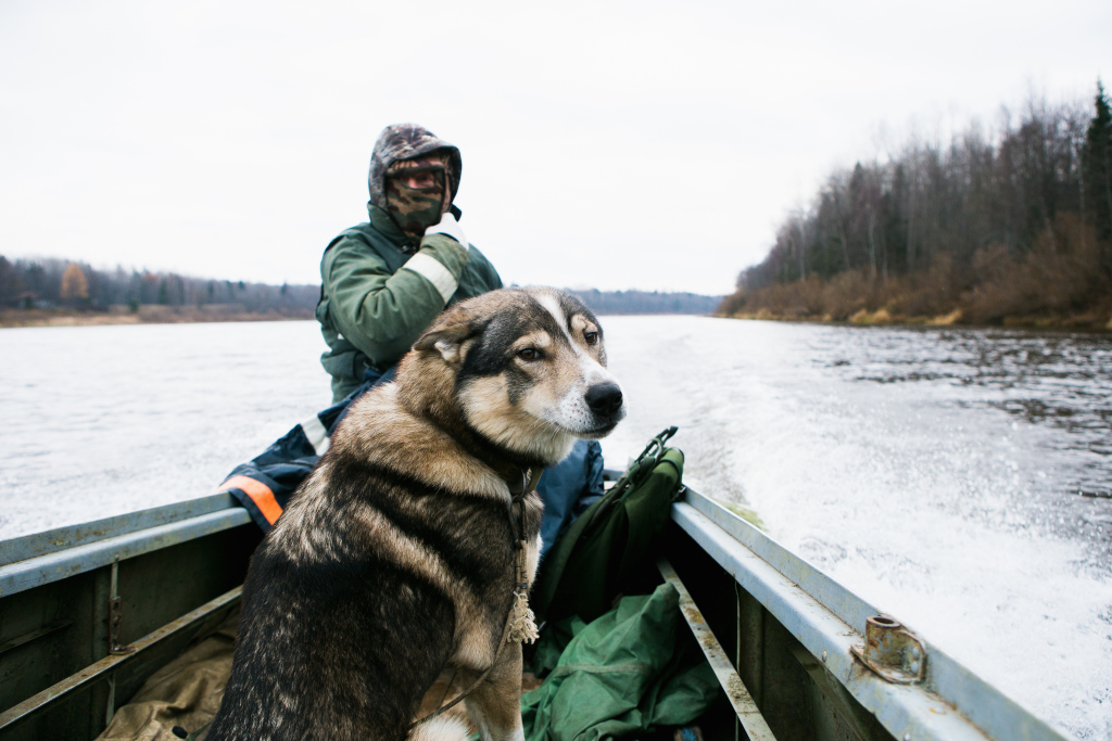 Boating with Senior Dog