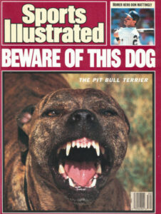 Sports Illustrated Pit Bull